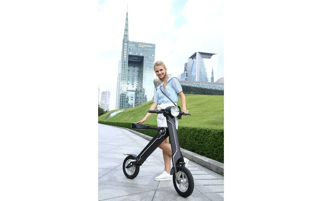 Lehe K1 + E-Mofa Weinrot 2 Lehe K1 + E-Mofa Weinrot – Bild 2