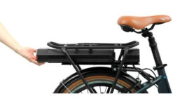 Blaupunkt Franzi Faltbares E-Bike -BergFit Outdoor Angebote Store 306066 2453263