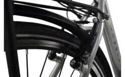 LLobe SilverLine City-E-Bike 28 Zoll 10 Ah Silber -BergFit Outdoor Angebote Store 454685 3149429