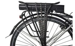 LLobe SilverLine City-E-Bike 28 Zoll 10 Ah Silber -BergFit Outdoor Angebote Store 454784 3149435