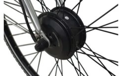 LLobe SilverLine City-E-Bike 28 Zoll 10 Ah Silber -BergFit Outdoor Angebote Store 454997 3149447