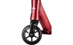 Chilli Scooter 3000 Shredder Gold -BergFit Outdoor Angebote Store 541561 3530408 2