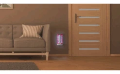 Swissinno Mini-Insektenleimfänger 4 Watt LED Inkl. 2 Leimpapier -BergFit Outdoor Angebote Store 755183 5048375